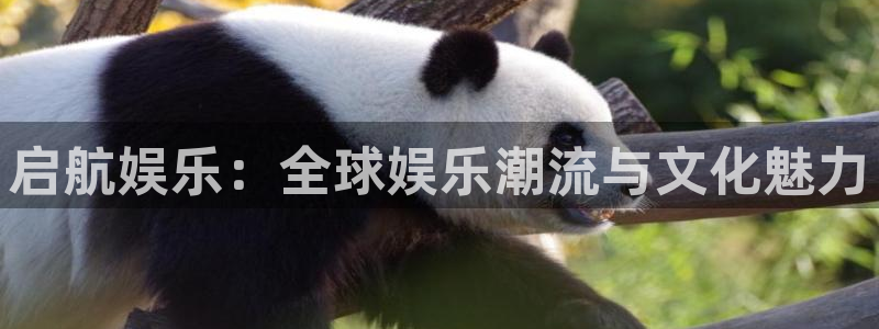 环球360一比一上分