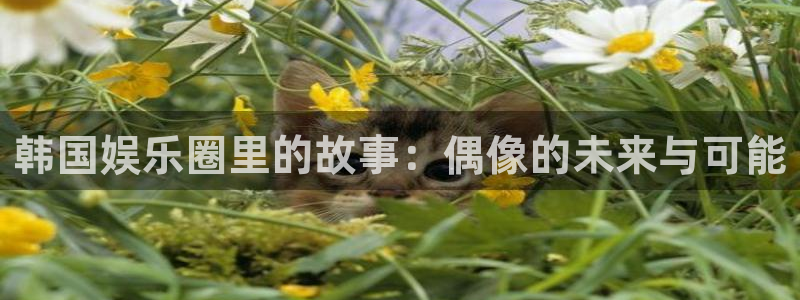 环球360私网一比一
