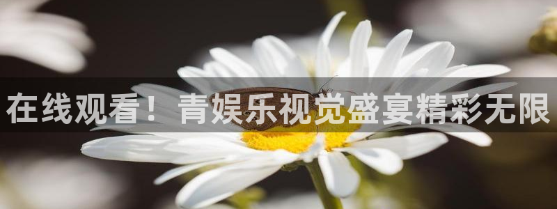 环球360私网代理合作