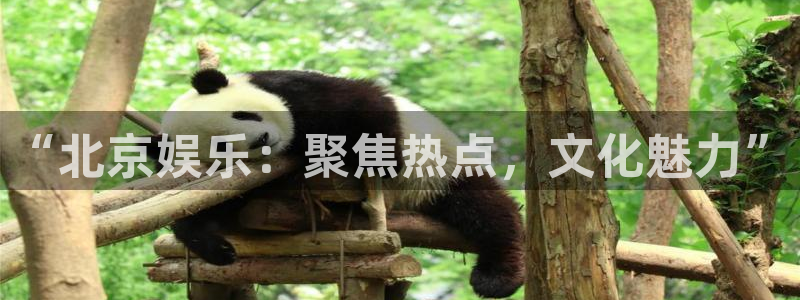 环球360娱乐官网免费观看