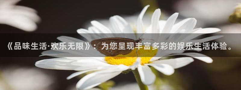 环球360一比一上分