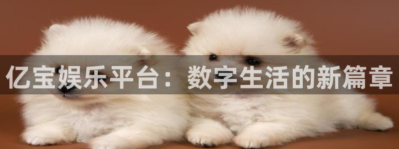 环球360