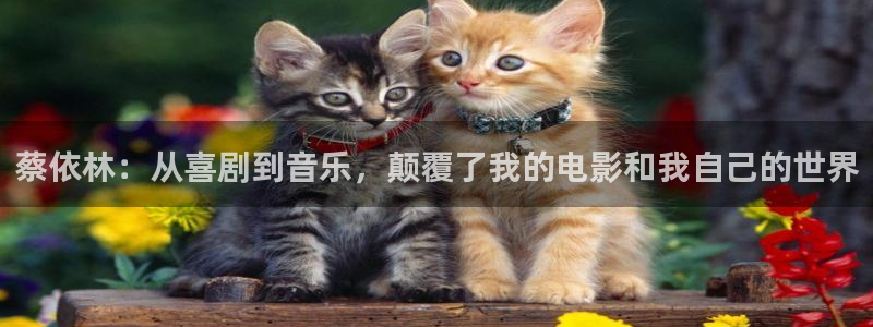 环球360一比一上分