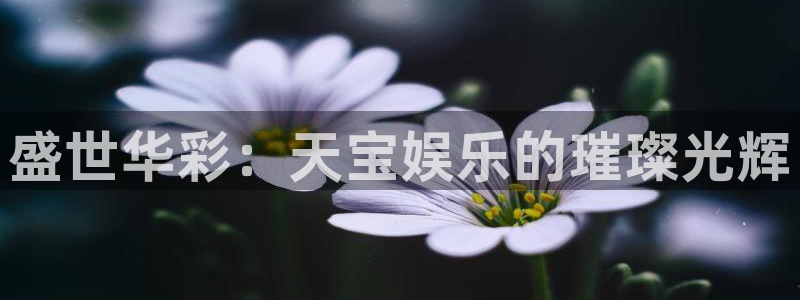 环球360