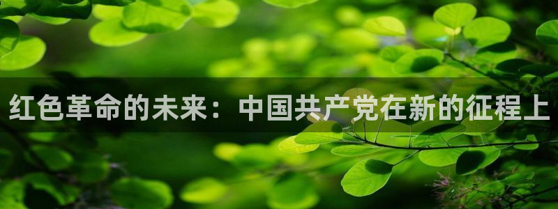 环球360私网代理合作